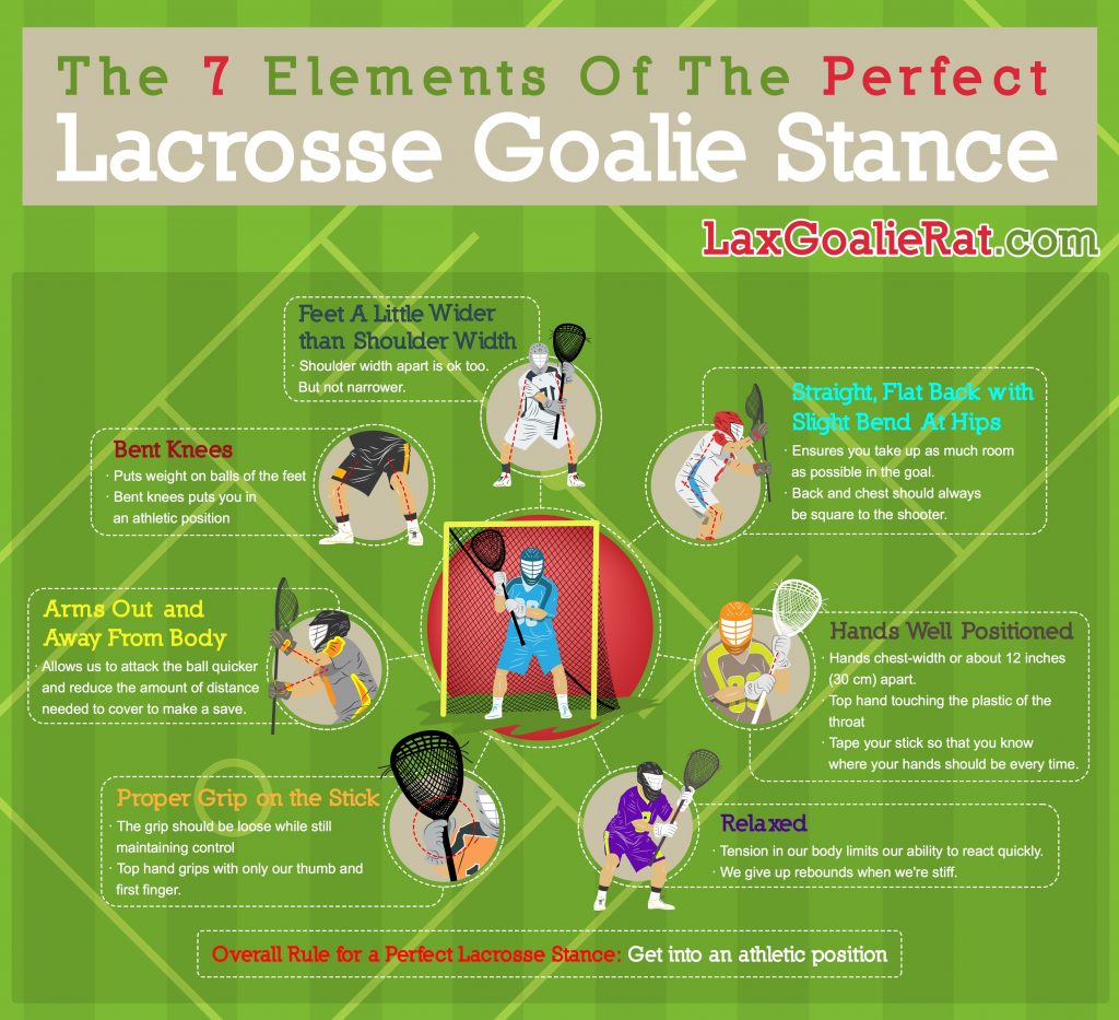 Lacrosse Goalie Stance Infographic